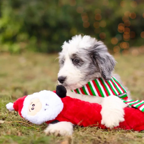 ZippyPaw - Holiday Jigglerz - Santa