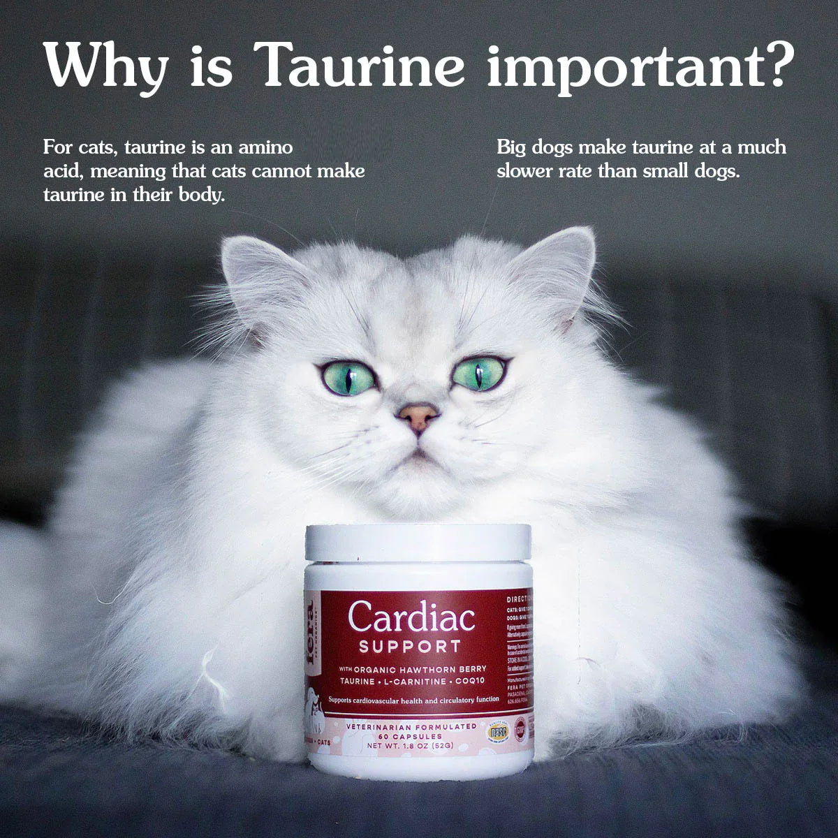 Fera Cardiac Support for Dogs & Cats – 60 Capsules