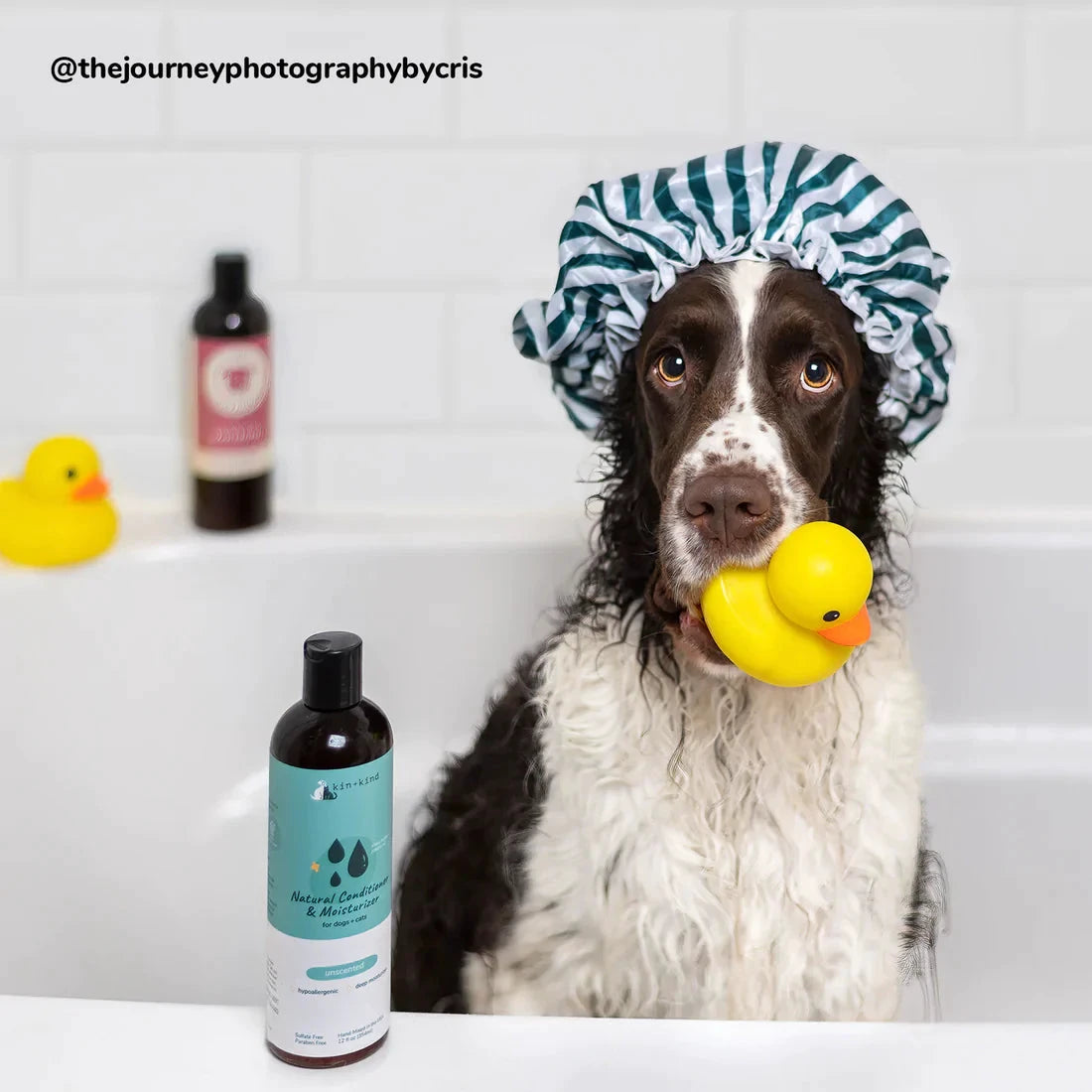 Moisturizing Conditioner for Dogs & Cats (Unscented) by Kin+Kind
