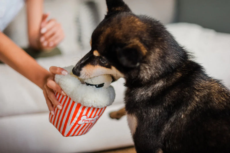 P.L.A.Y - Hollywoof Cinema Collection
