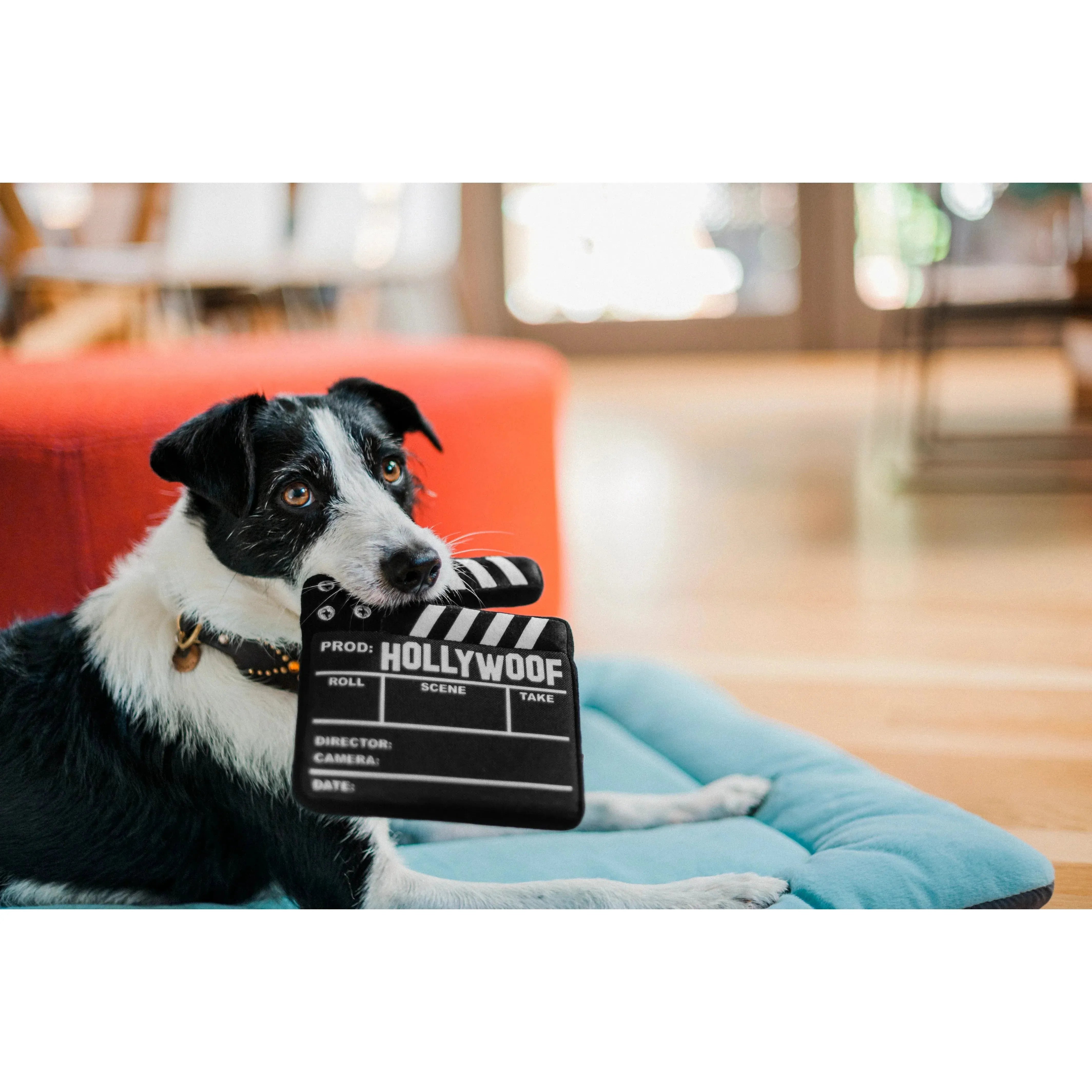 P.L.A.Y Hollywoof Cinema Collection