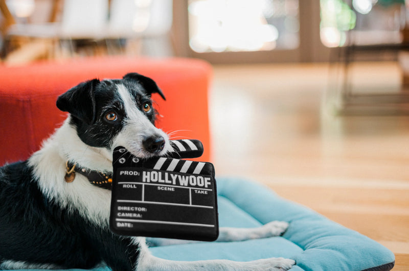 P.L.A.Y - Hollywoof Cinema Collection