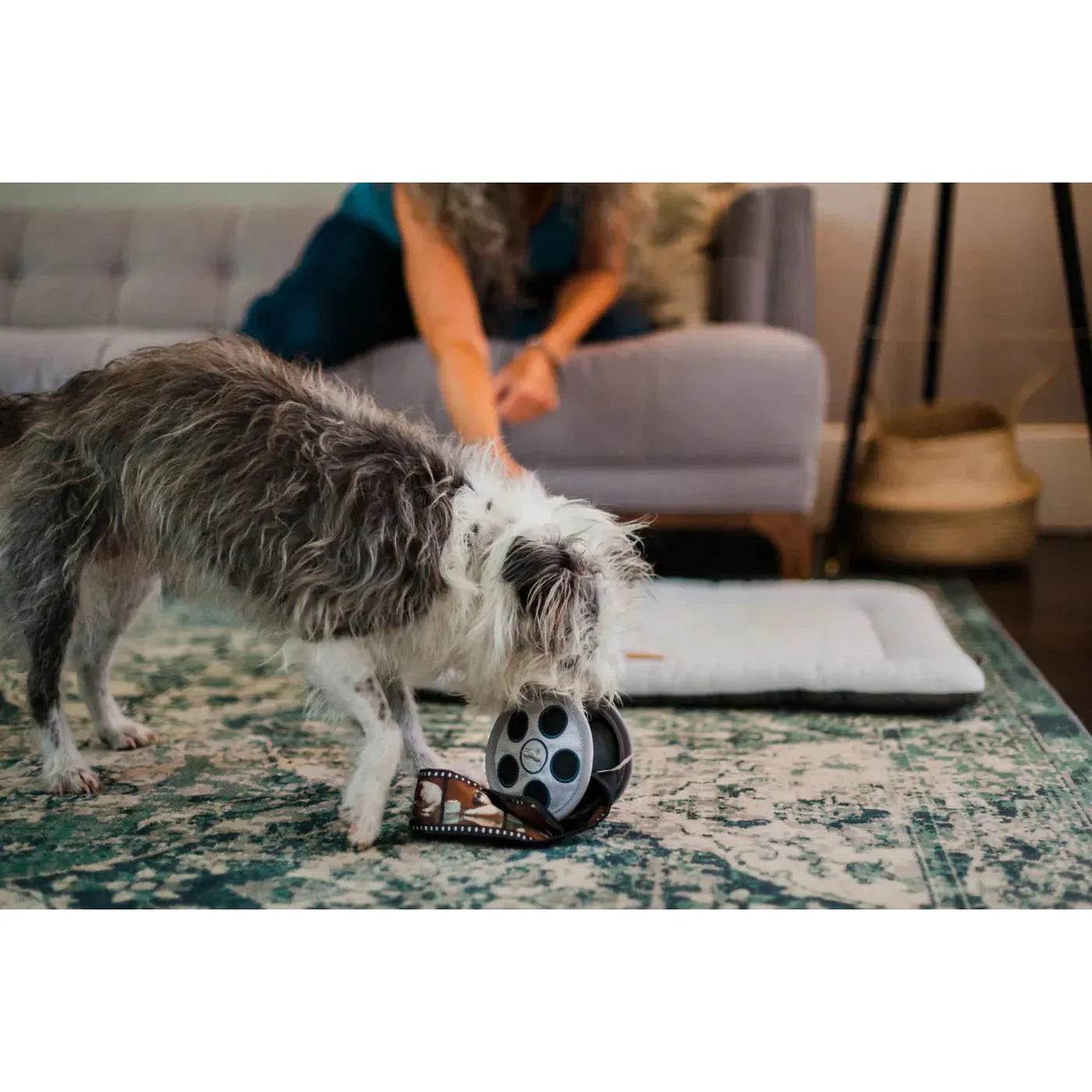 P.L.A.Y Hollywoof Cinema Collection