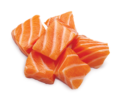 1st Choice Adult Healthy Skin And Coat Salmon Cat 2.72kg