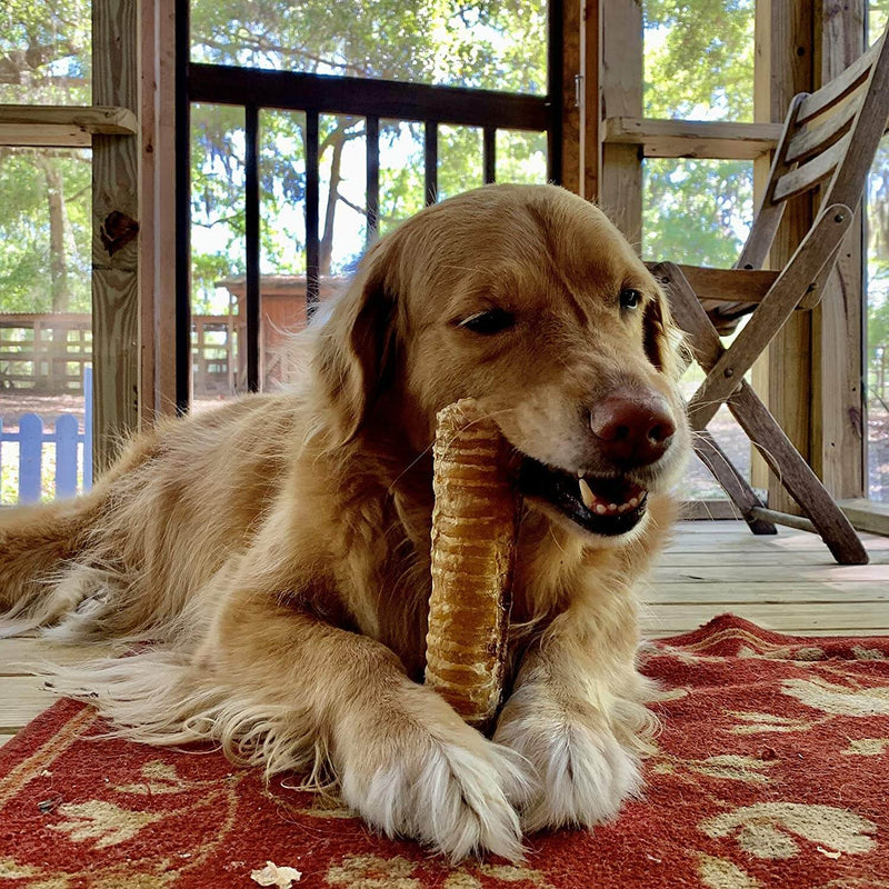 Super Can - 12" Trachea Odour Free
