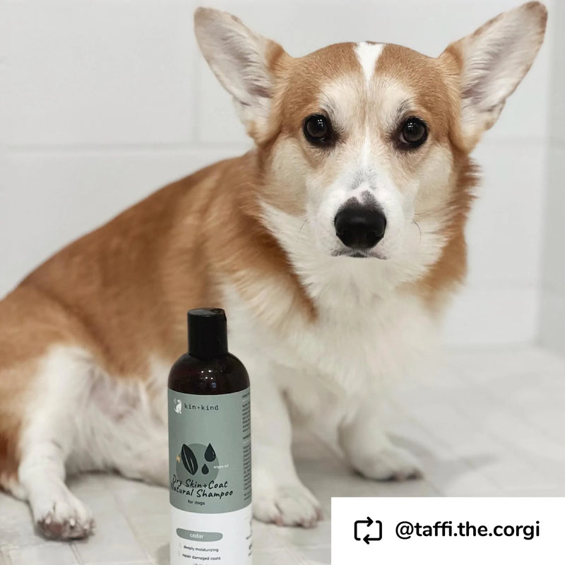 Dry Skin & Coat Shampoo for Dogs (Cedar)