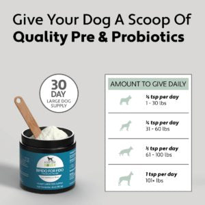 Four Leaf Rover - Bifido For Fido - Gut Health For Dogs