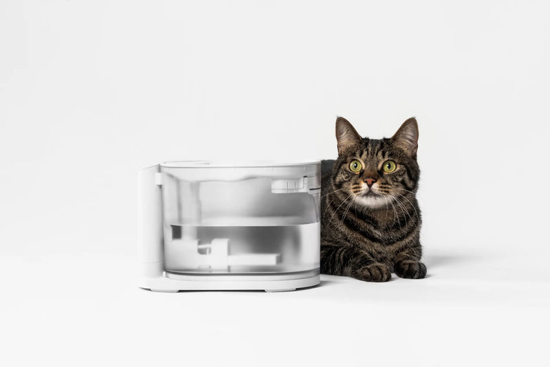 Pidan Water Fountain for Cats with Water Temperature Control