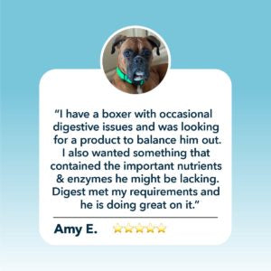 Four Leaf Rover - Digest - Digestive Enzymes And Probiotics For Dogs