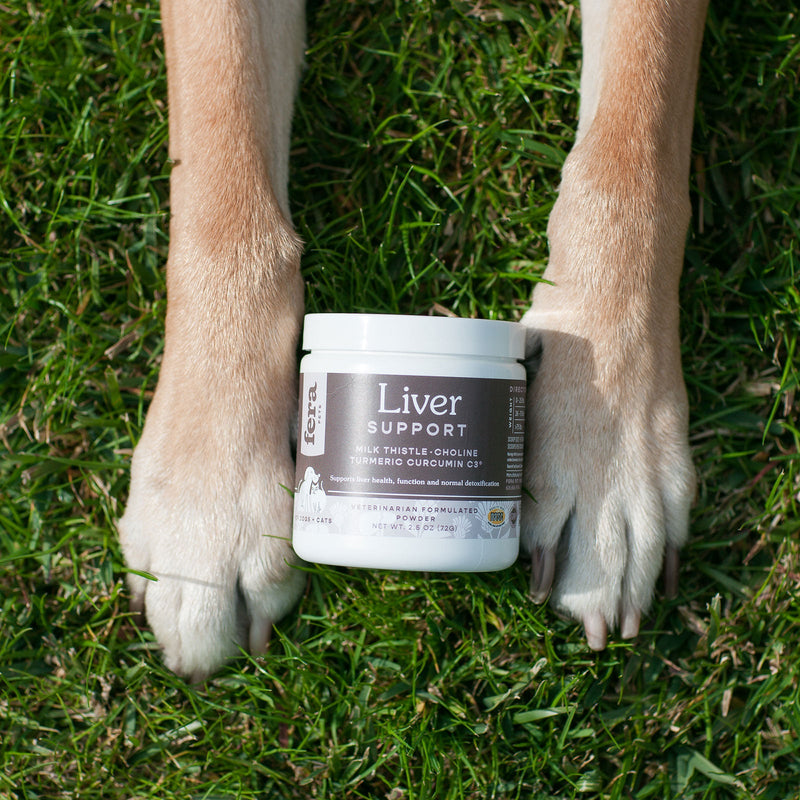 Fera - Liver Support for Dogs and Cats