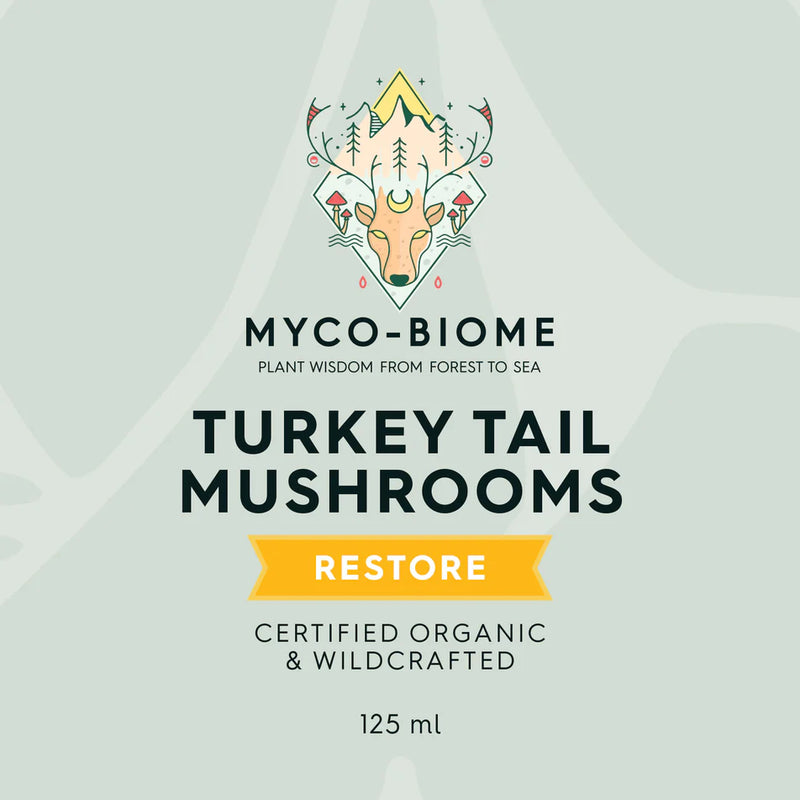 Turkey Tail Mushrooms | Liquid Triple Extract