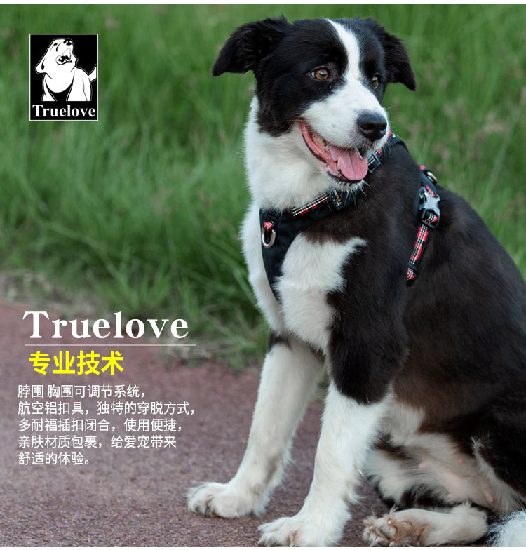 Truelove - Reflective harness