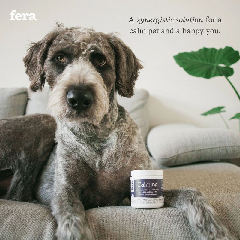 Fera - Calming Support for Dogs and Cats
