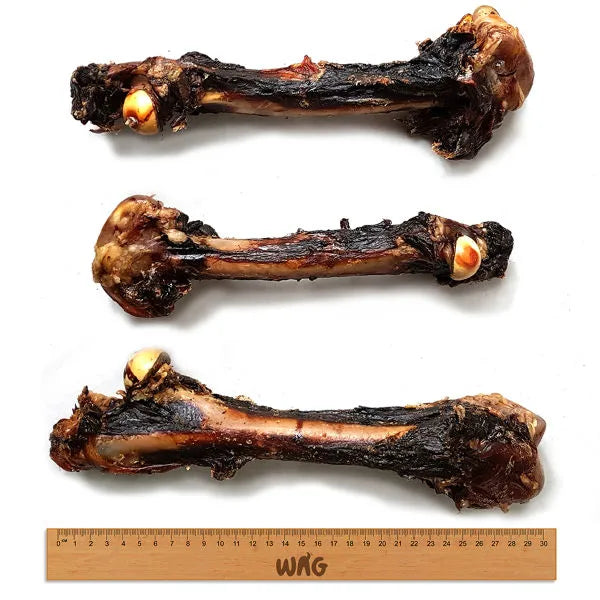 WAG - Kangaroo Bone Large
