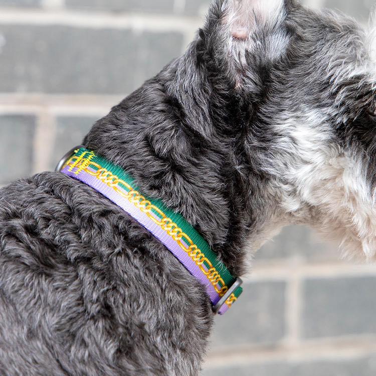 pidan - Dog Collar with Metal Buckle