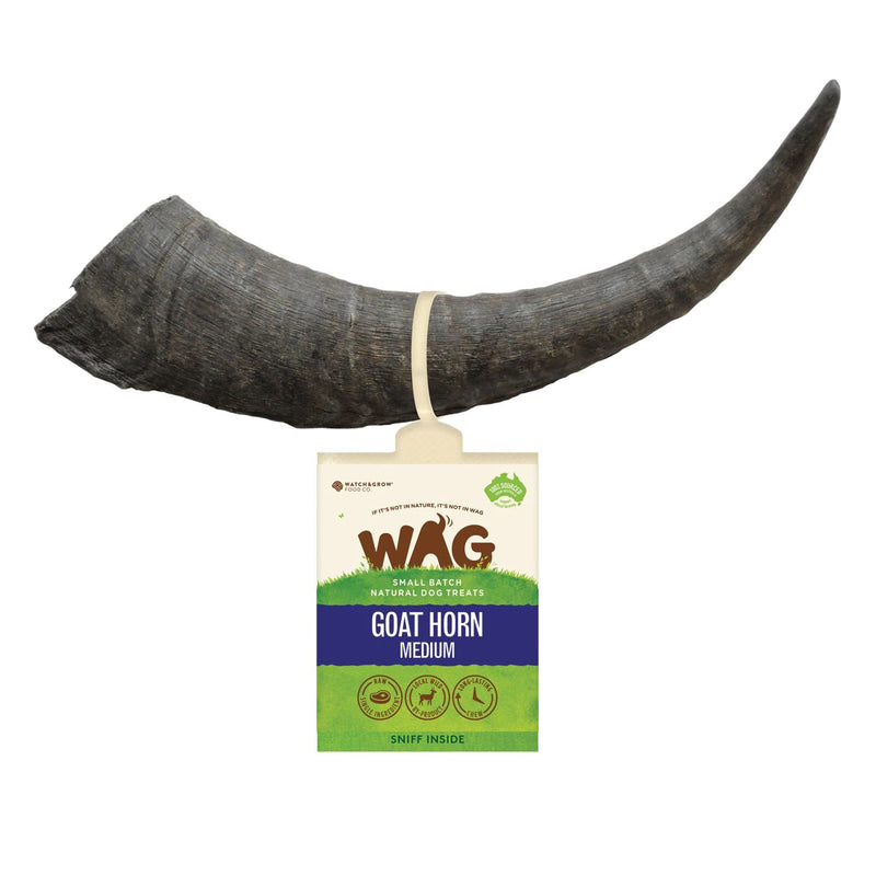 Wag - Goat Horn (Medium)